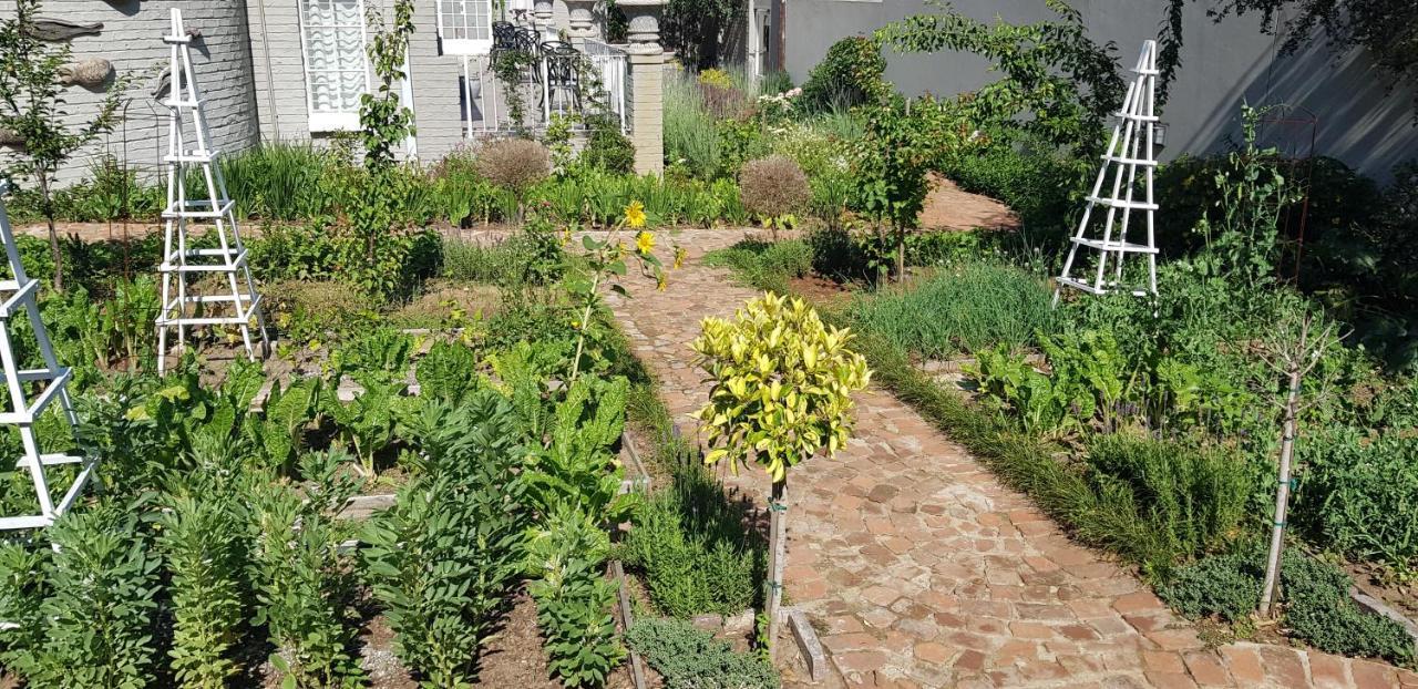 Villa Moi Johannesburg Kültér fotó